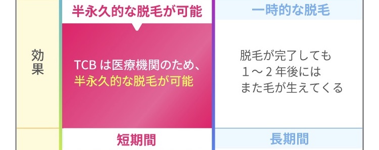 装飾画像