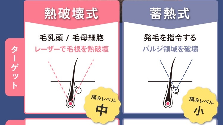 装飾画像