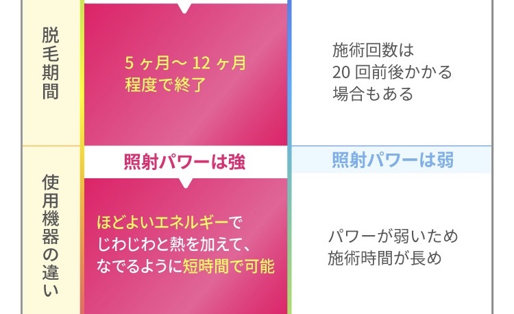 装飾画像