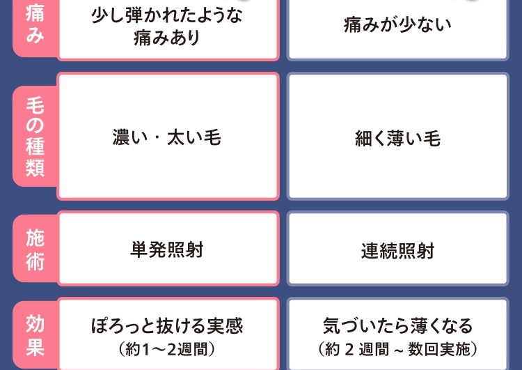 装飾画像