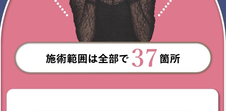 装飾画像