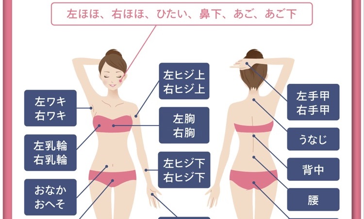 装飾画像