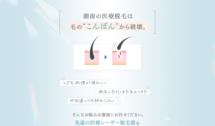 装飾画像